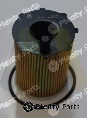 Motaquip LVFL770 — Oil Filter