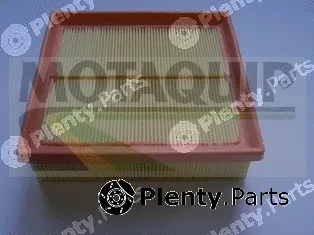 Motaquip VFA1179 — Air Filter