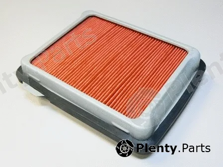 Motaquip VFA294 — Air Filter
