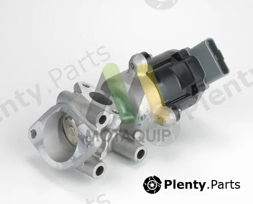 Motaquip LVER306 — EGR Valve