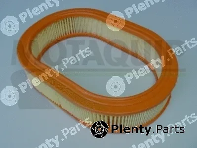 Motaquip VFA257 — Air Filter