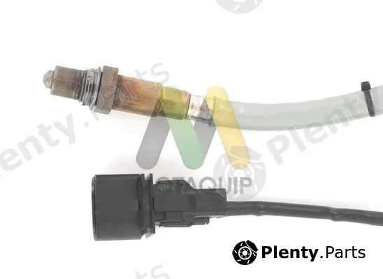 Motaquip LVOS1956 — Lambda Sensor