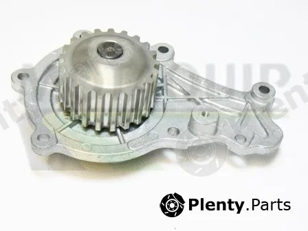 Motaquip VWP781 — Water Pump, engine cooling