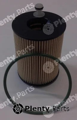 Motaquip LVFL810 — Oil Filter