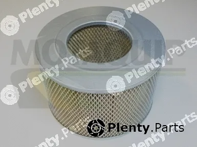 Motaquip VFA628 — Air Filter