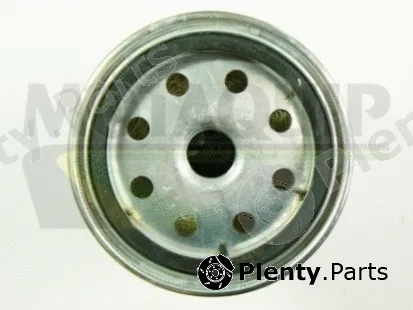 Motaquip VFF473 — Fuel Filter