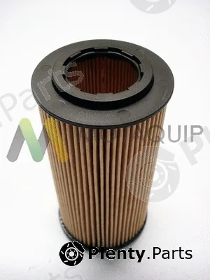 Motaquip LVFL798 — Oil Filter