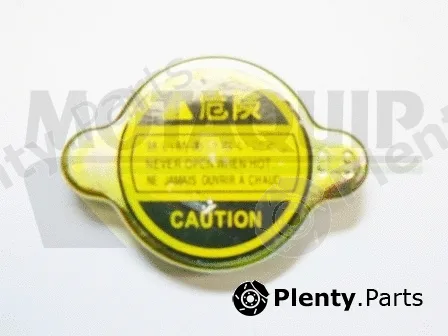 Motaquip VCR208 — Cap, coolant tank