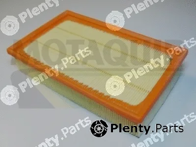 Motaquip VFA1019 — Air Filter