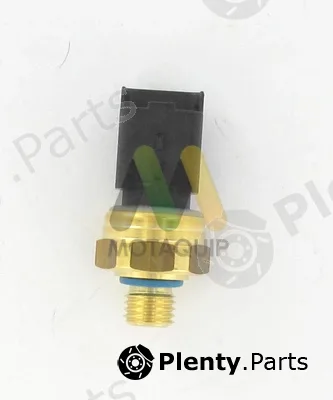 Motaquip LVRP383 — Oil Pressure Switch