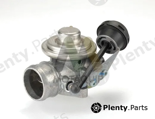 Motaquip LVER359 — EGR Valve