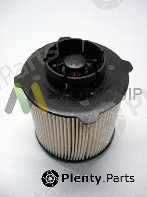 Motaquip LVFF700 — Fuel Filter