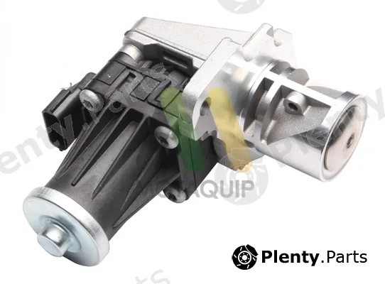 Motaquip LVER429 — EGR Valve