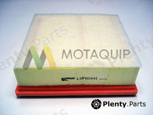 Motaquip LVFA1441 — Air Filter