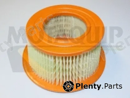 Motaquip VFA173 — Air Filter