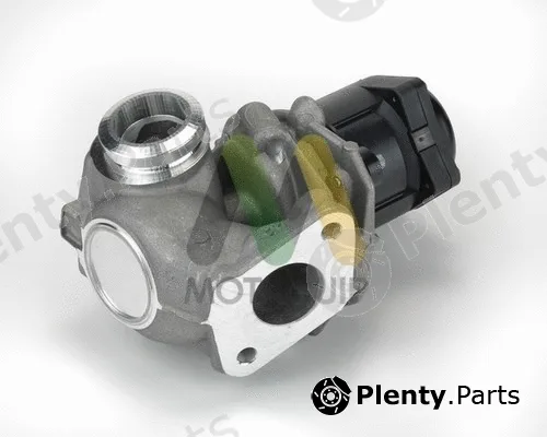 Motaquip LVER303 — EGR Valve