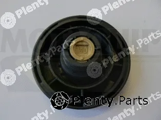 Motaquip VCR241 — Cap, coolant tank
