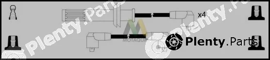 Motaquip LDRL1001 — Ignition Cable Kit