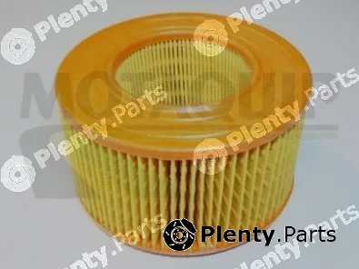 Motaquip VFA222 — Air Filter
