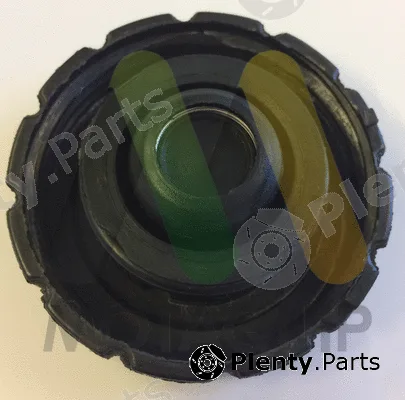 Motaquip LVCR322 — Cap, coolant tank