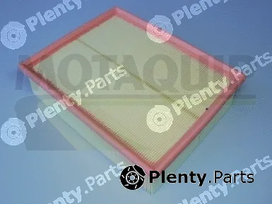 Motaquip VFA1030 — Air Filter