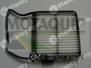 Motaquip VFA1209 — Air Filter
