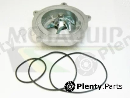 Motaquip VWP690 — Water Pump, engine cooling