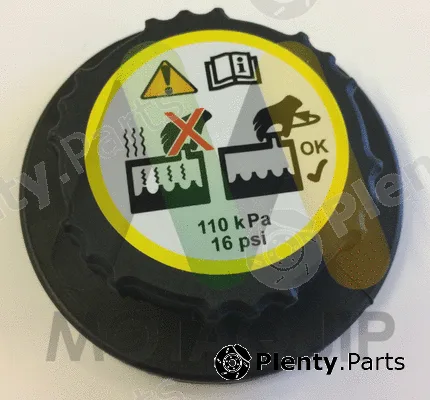 Motaquip LVCR325 — Cap, coolant tank