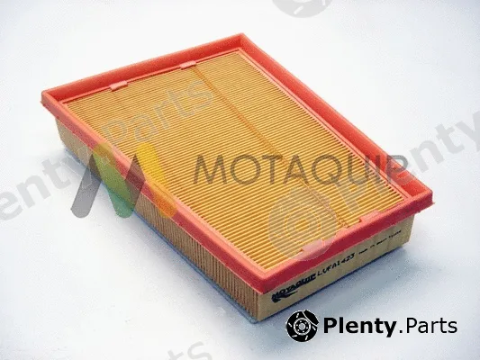 Motaquip LVFA1423 — Air Filter