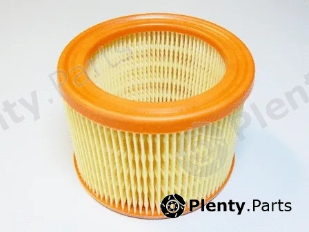 Motaquip VFA122 — Air Filter
