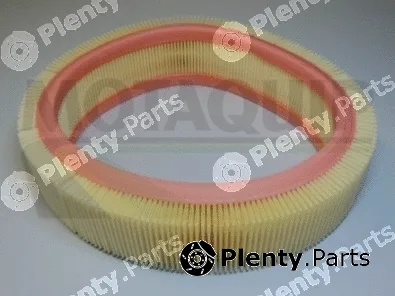 Motaquip VFA251 — Air Filter