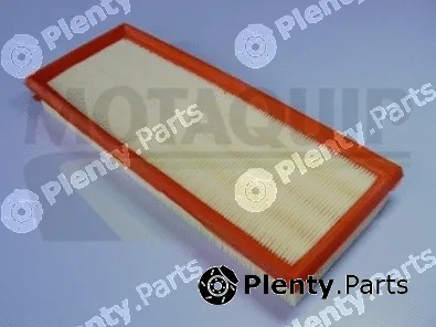 Motaquip VFA194 — Air Filter