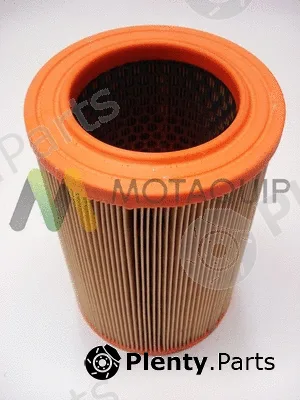 Motaquip LVFA1443 — Air Filter