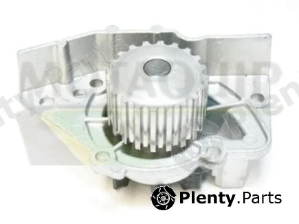 Motaquip VWP416 — Water Pump, engine cooling