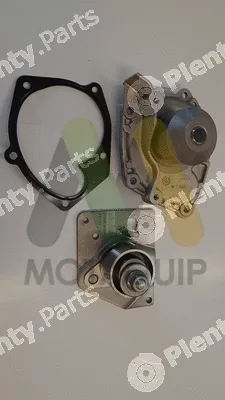 Motaquip LVTTP117 — Water Pump & Timing Belt Kit