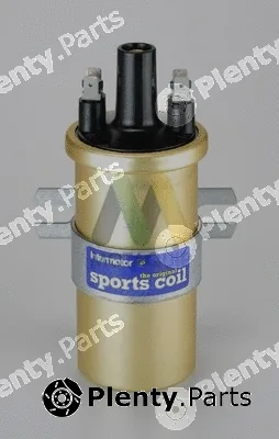 Motaquip LVCL213 — Ignition Coil