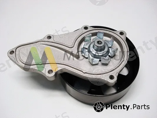 Motaquip LVWP971 — Water Pump, engine cooling