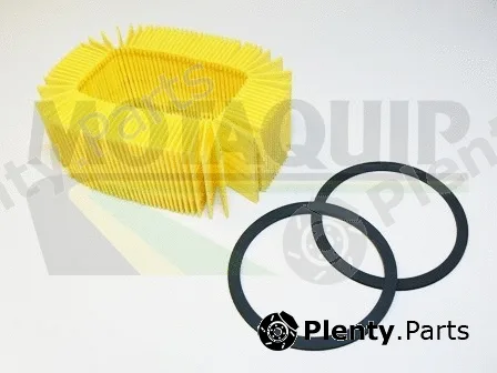 Motaquip VFA199 — Air Filter