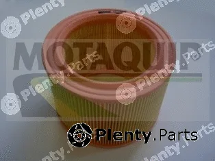 Motaquip VFA269 — Air Filter