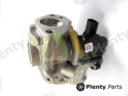 Motaquip LVER149 — EGR Valve