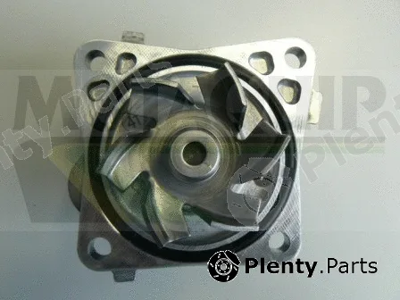 Motaquip VWP862 — Water Pump, engine cooling