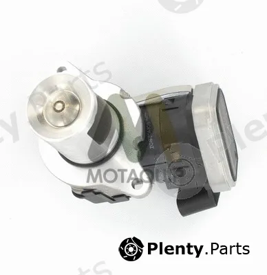Motaquip LVER195 — EGR Valve