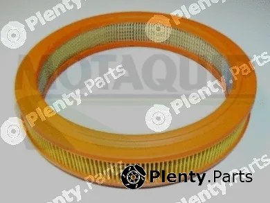 Motaquip VFA189 — Air Filter