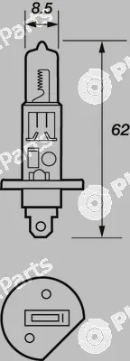 Motaquip LVEB448 — Bulb, spotlight Economy