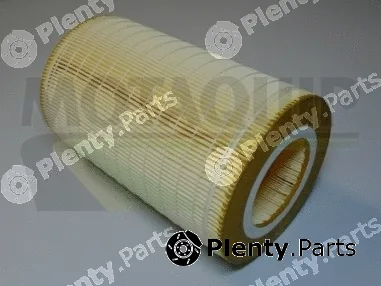 Motaquip VFA1060 — Air Filter