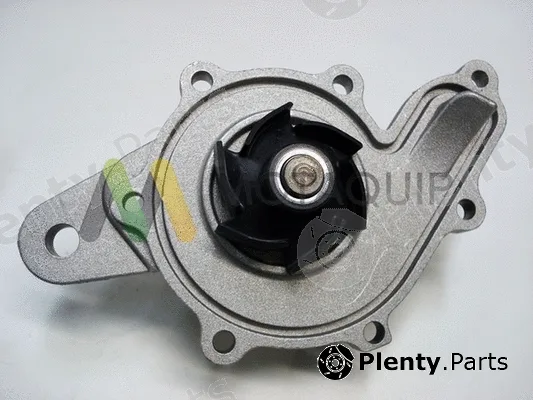Motaquip LVWP981 — Water Pump, engine cooling