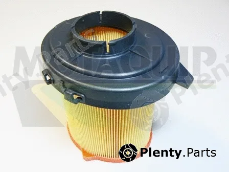 Motaquip VFA569 — Air Filter