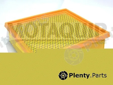 Motaquip VFA1197 — Air Filter
