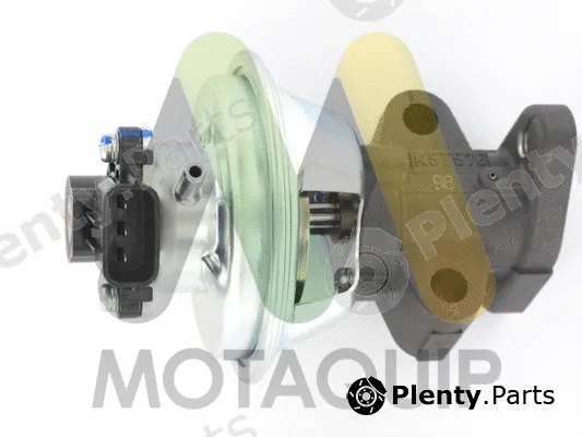 Motaquip LVER364 — EGR Valve