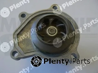 Motaquip VWP879 — Water Pump, engine cooling